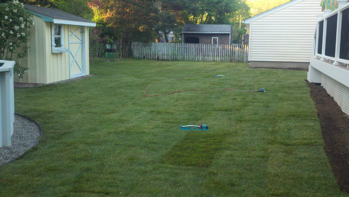 Lawn-Sod-015-after