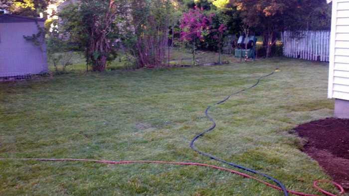 Lawn-Sod-020-after