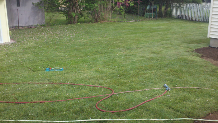 Lawn-Sod-035-after