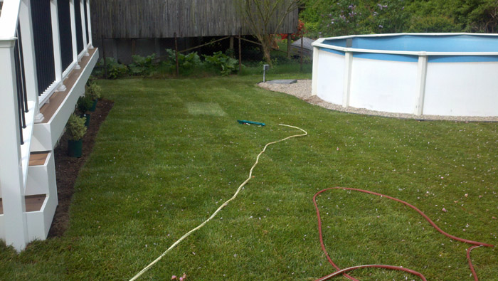 Lawn-Sod-055-after